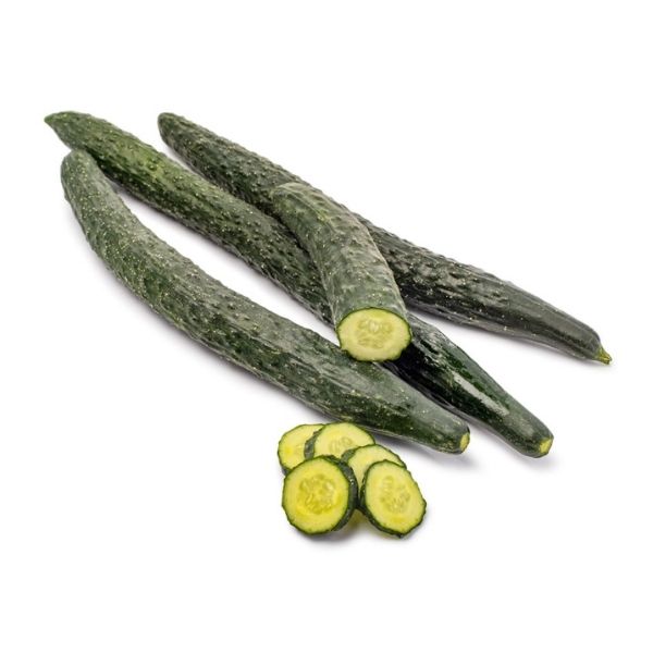 chinese_tianjin_long_cucumber