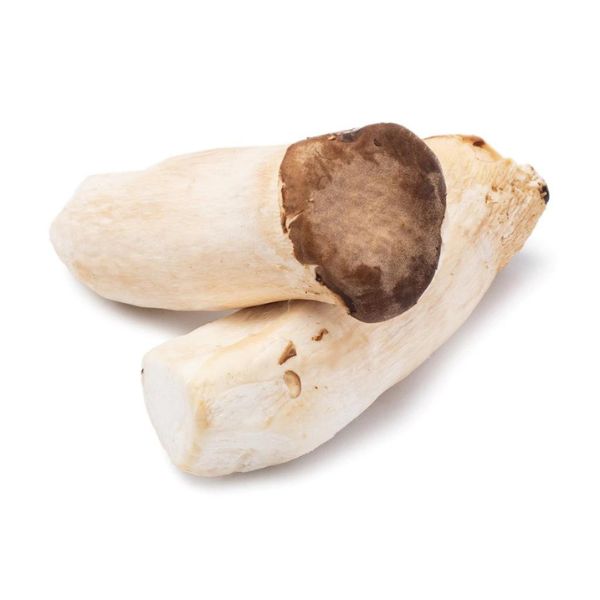 kingoystermushrooms1lb