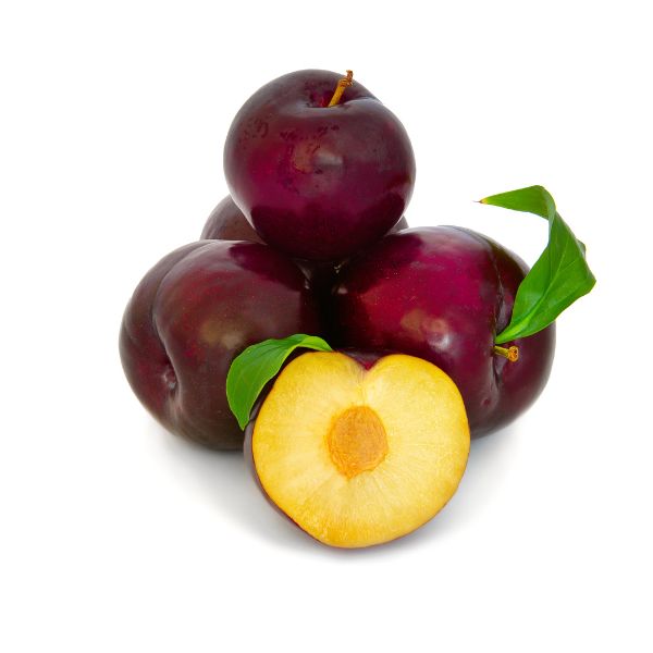 redplum2lb