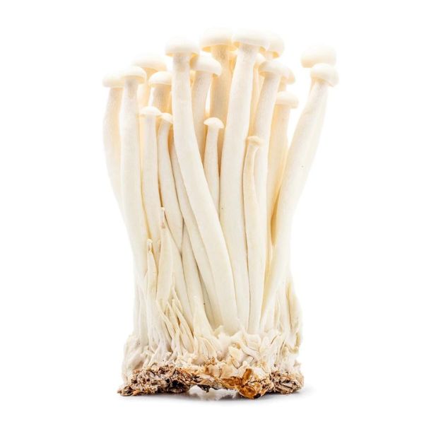 seafoodmushroom150g