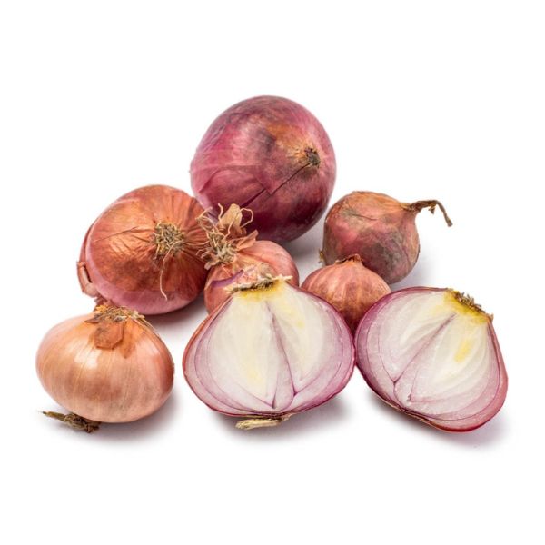 shallots1each