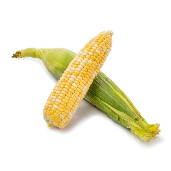 two-color_sweet_corn